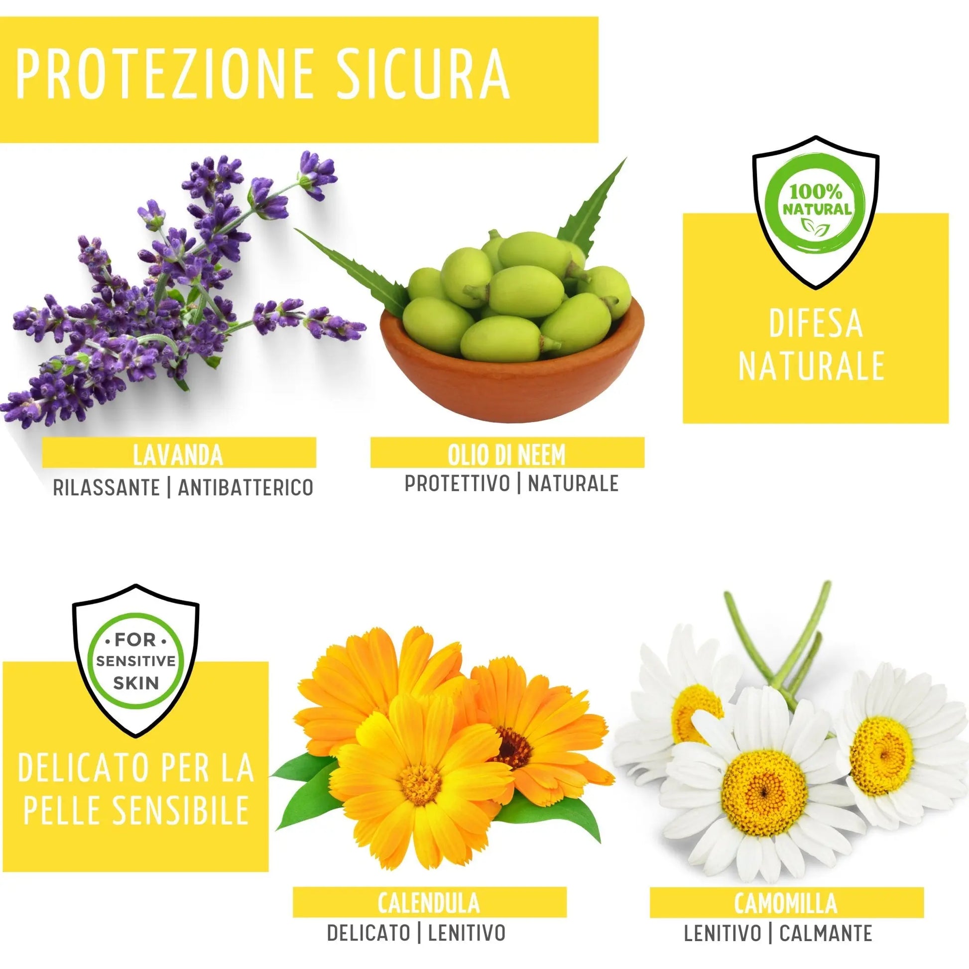 Shampoo Antipidocchi all'Olio di Neem Aesthete